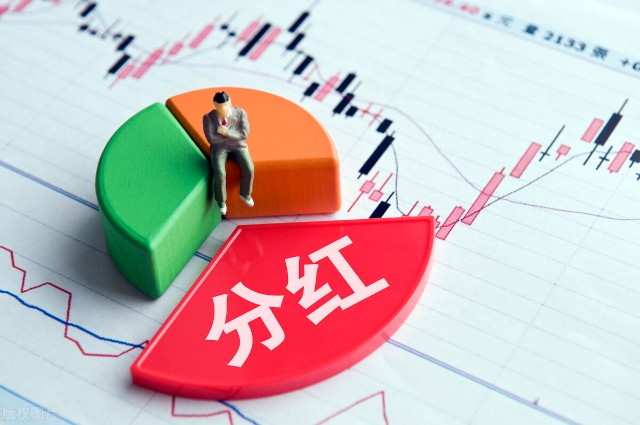 股东 （凭持有股票享受股息和红利的个人或单位）-苏州注册公司